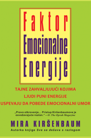 Faktor emocionalne energije